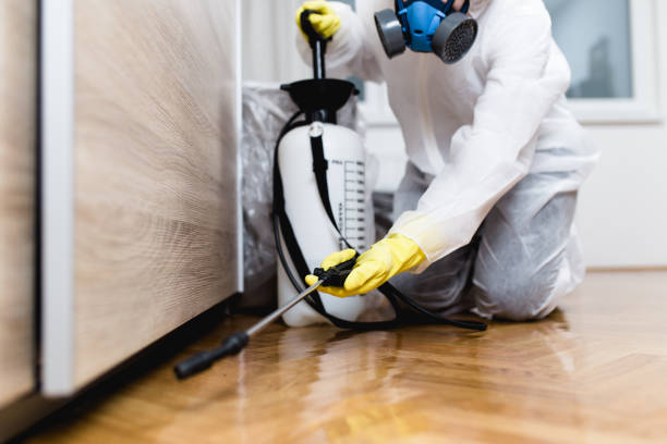 Trusted Westmont, IL Pest Control Experts
