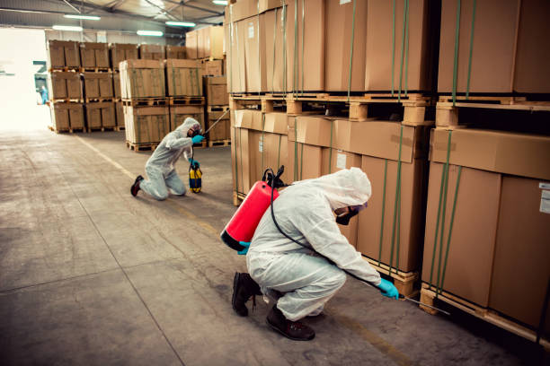 Best Affordable Pest Control Services  in Westmont, IL