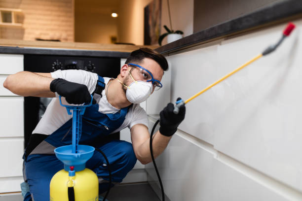 Wasp Removal Services in Westmont, IL