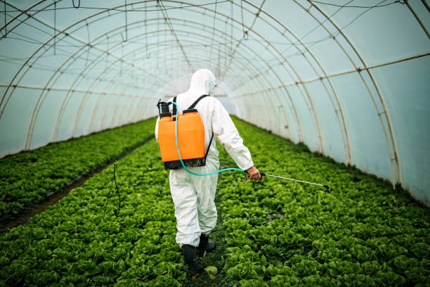 Best Pest Inspection Near Me  in Westmont, IL