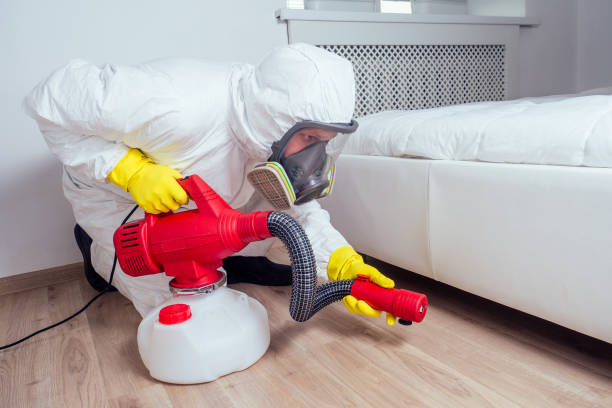 Best Pest Control for Homes  in Westmont, IL