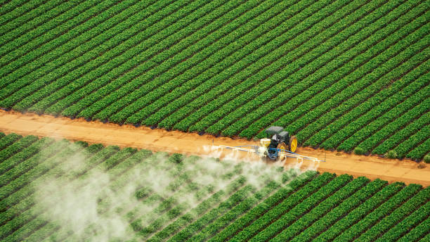 Pest Prevention Services in Westmont, IL