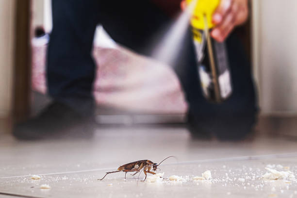 Best Cockroach Control Services  in Westmont, IL