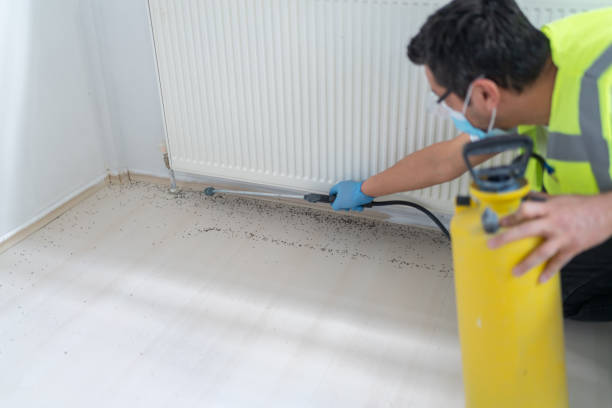 Best Emergency Pest Control  in Westmont, IL